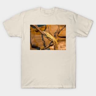 Green iguana lying on the branch T-Shirt